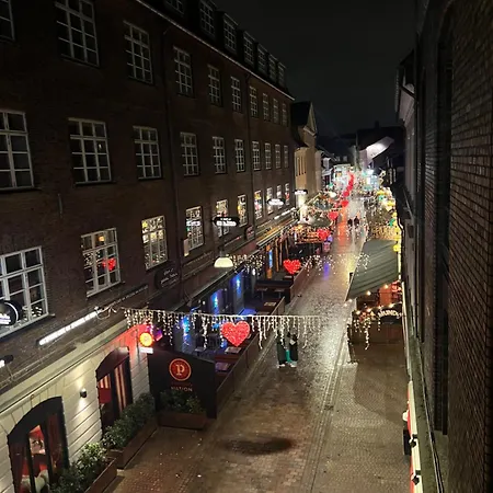 Stor Flot Herskabslejlighed *